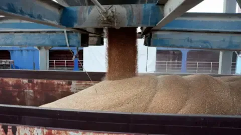 The nation Battles Most Severe Dry Spell in Generations, Forcing Countless People To the Verge